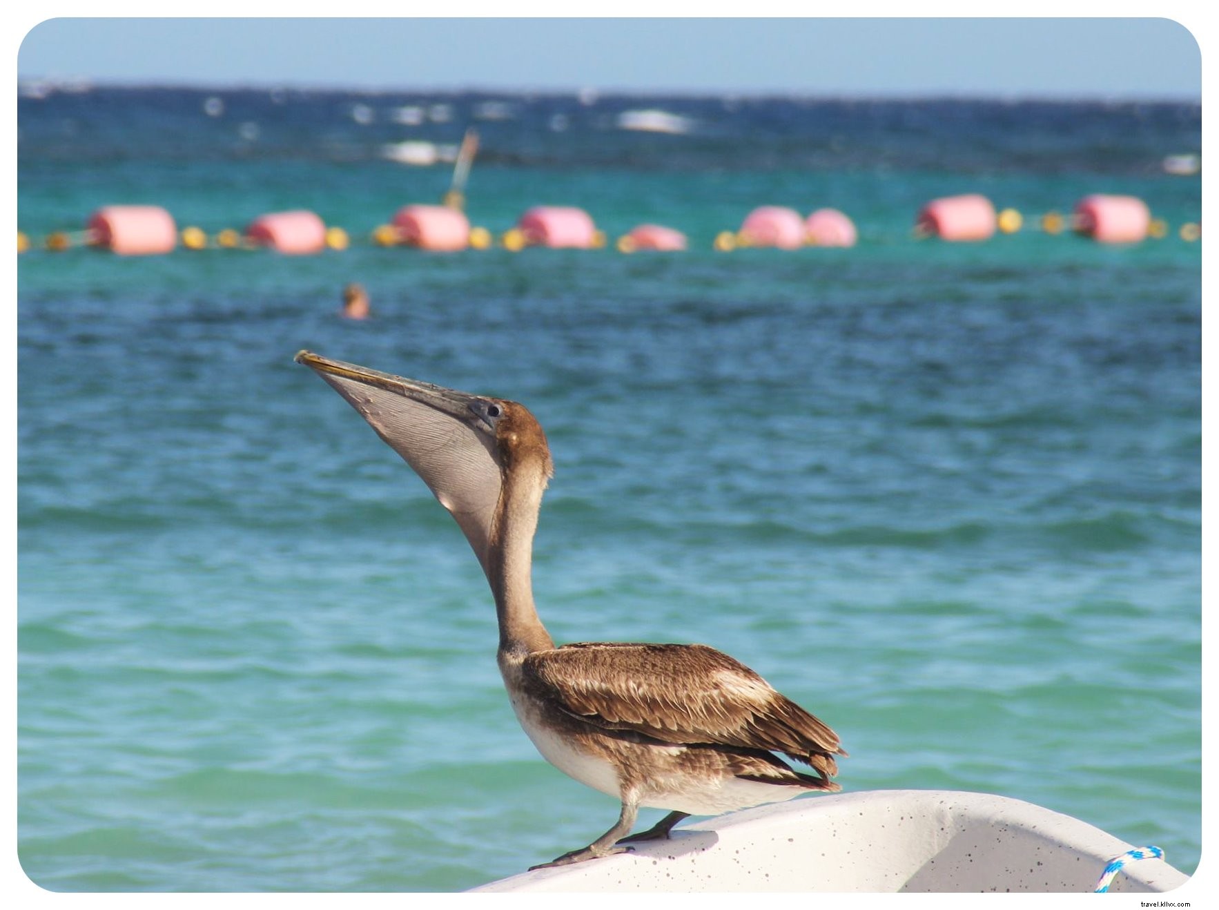 Ultimate 10-Day Yucatan Road Trip: Cenotes, Pristine Beaches & Ancient Maya Ruins