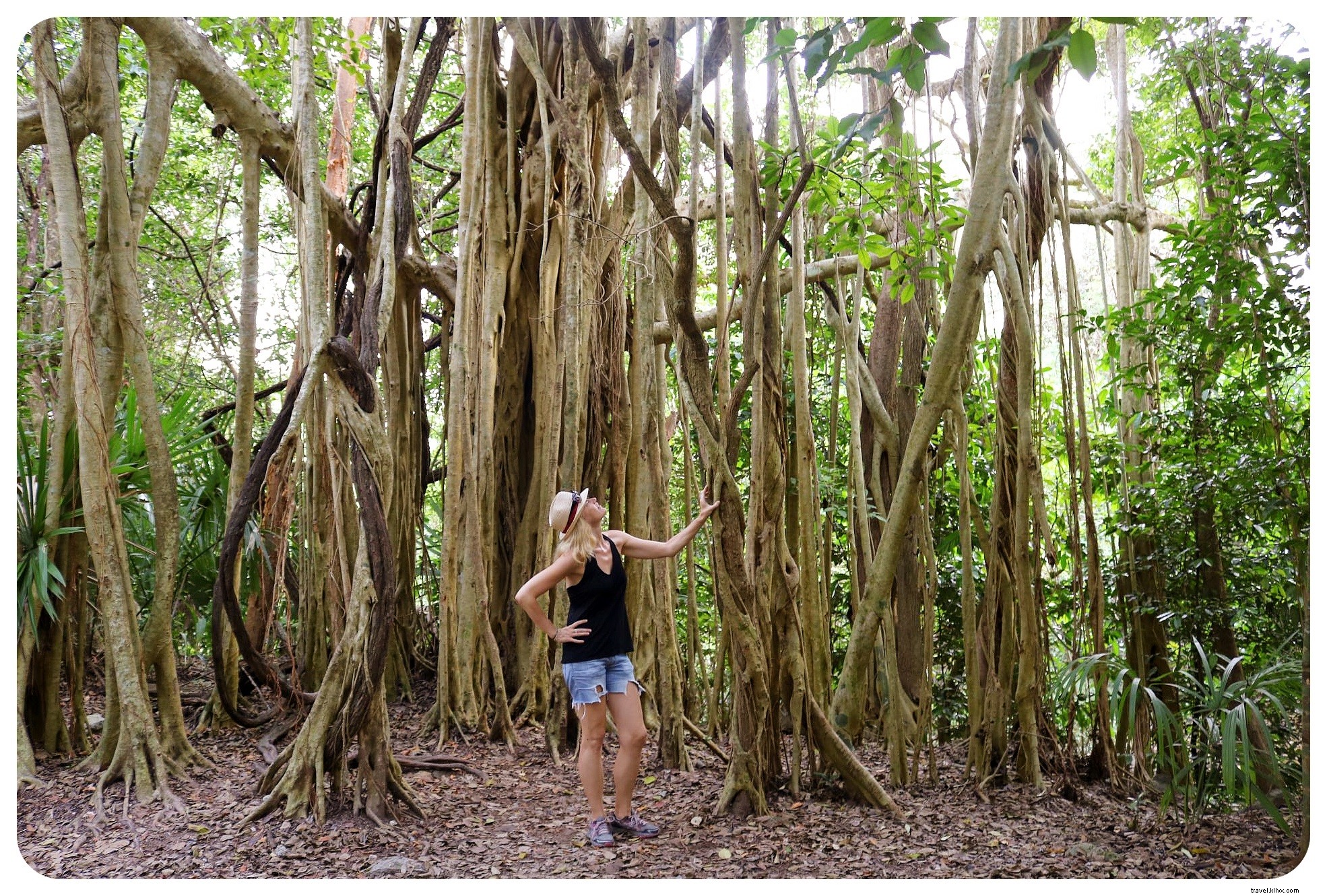 Ultimate 10-Day Yucatan Road Trip: Cenotes, Pristine Beaches & Ancient Maya Ruins