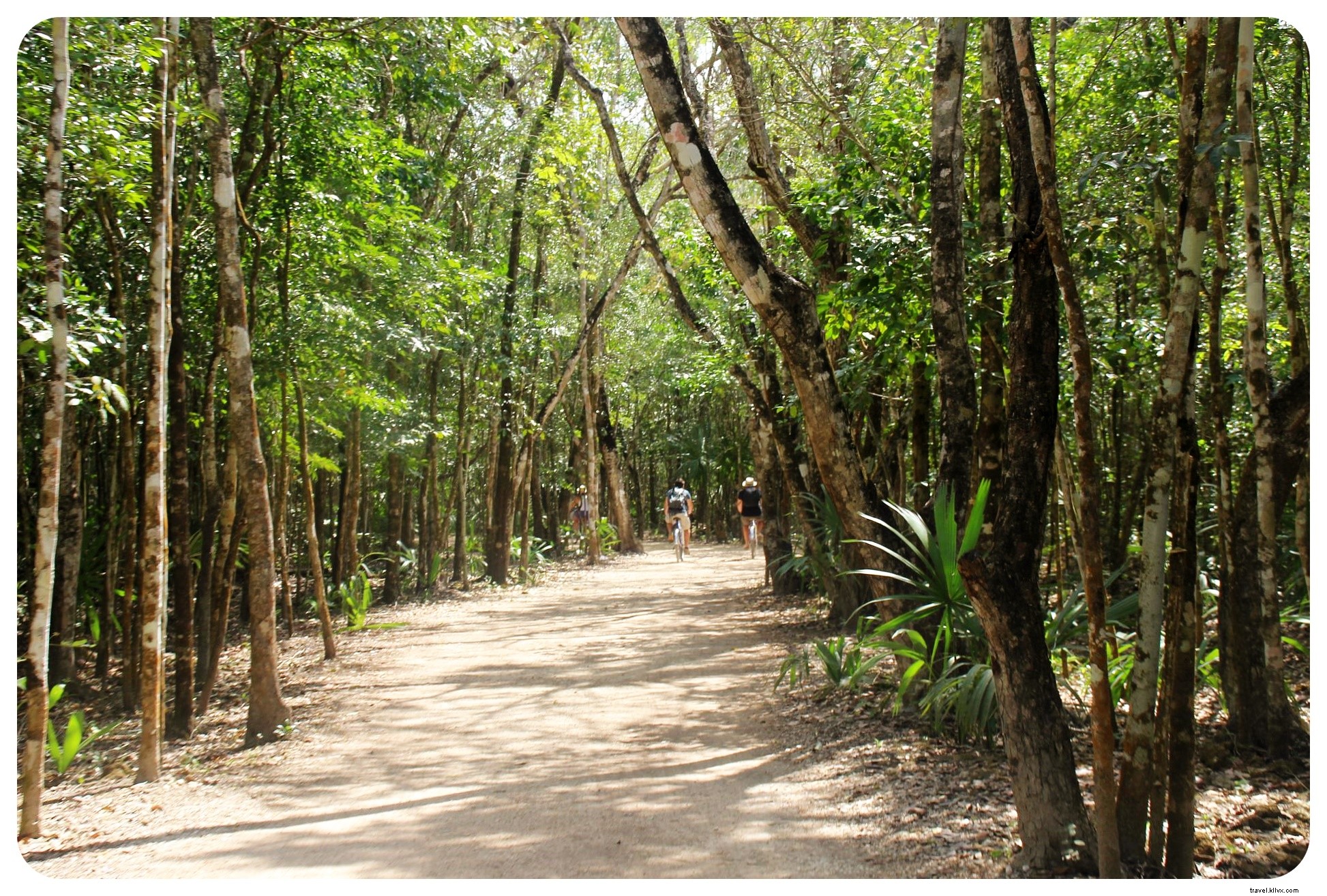 Ultimate 10-Day Yucatan Road Trip: Cenotes, Pristine Beaches & Ancient Maya Ruins