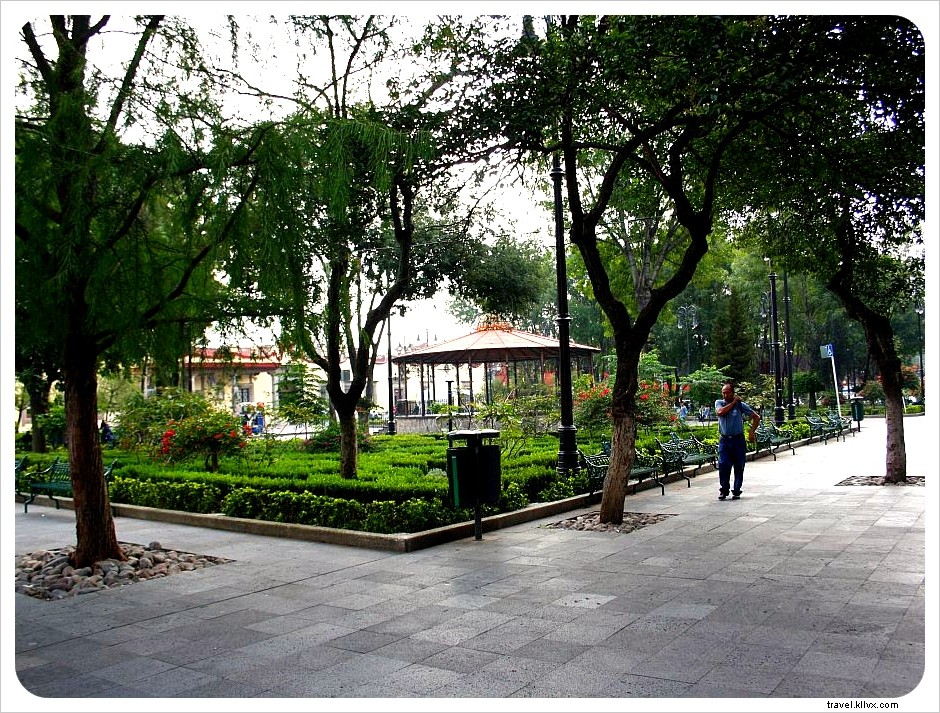 Discover Bohemian Coyoacán and Xochimilco s Floating Gardens: The Ultimate Day Trip from Mexico City