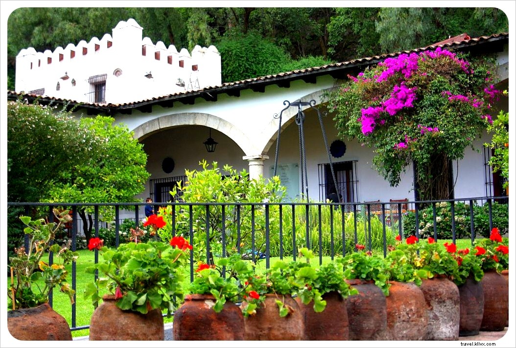 Discover Bohemian Coyoacán and Xochimilco s Floating Gardens: The Ultimate Day Trip from Mexico City