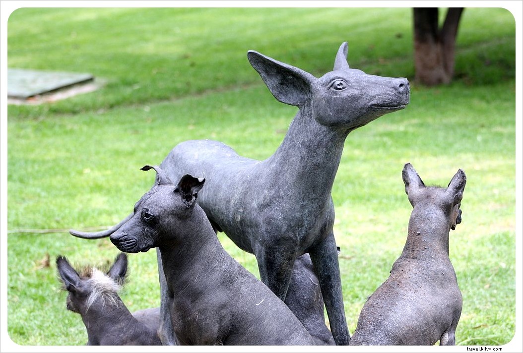 Discover Bohemian Coyoacán and Xochimilco s Floating Gardens: The Ultimate Day Trip from Mexico City