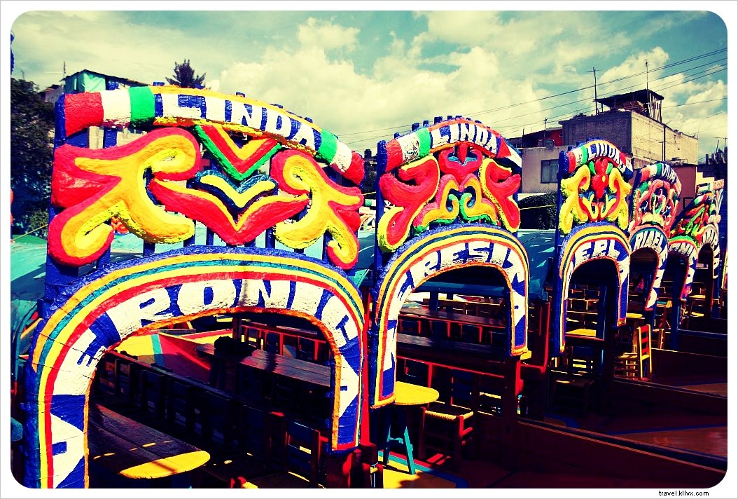 Discover Bohemian Coyoacán and Xochimilco s Floating Gardens: The Ultimate Day Trip from Mexico City