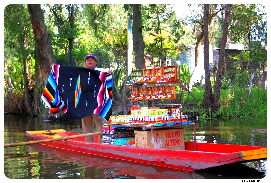 Discover Bohemian Coyoacán and Xochimilco s Floating Gardens: The Ultimate Day Trip from Mexico City