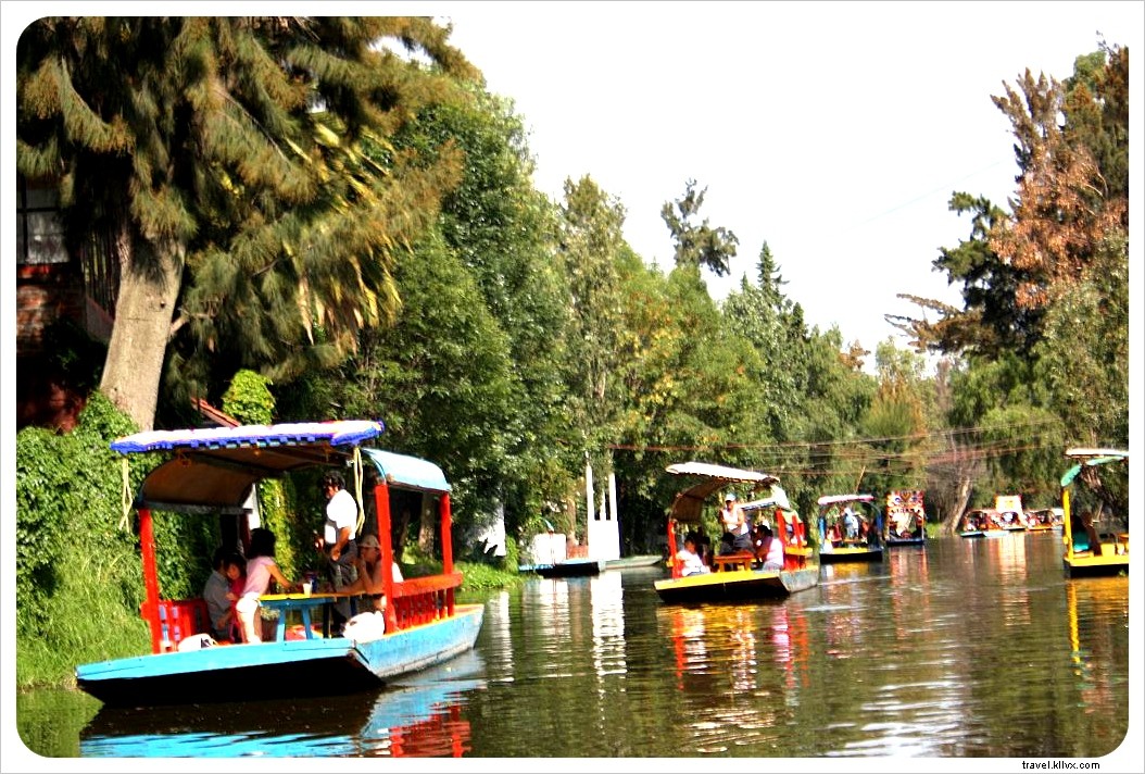 Discover Bohemian Coyoacán and Xochimilco s Floating Gardens: The Ultimate Day Trip from Mexico City