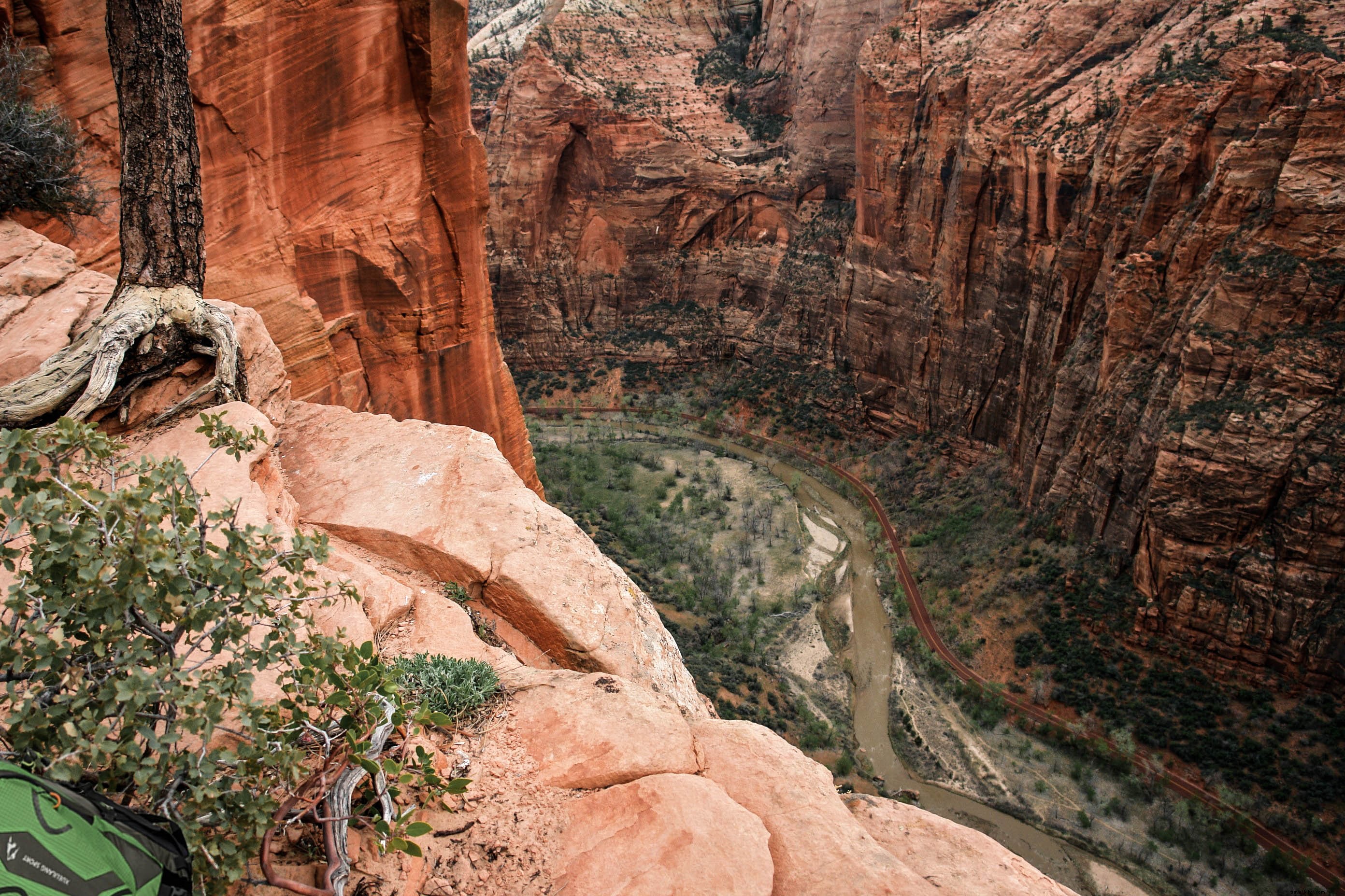 Ultimate Guide: Essential Tips for Visiting Zion National Park