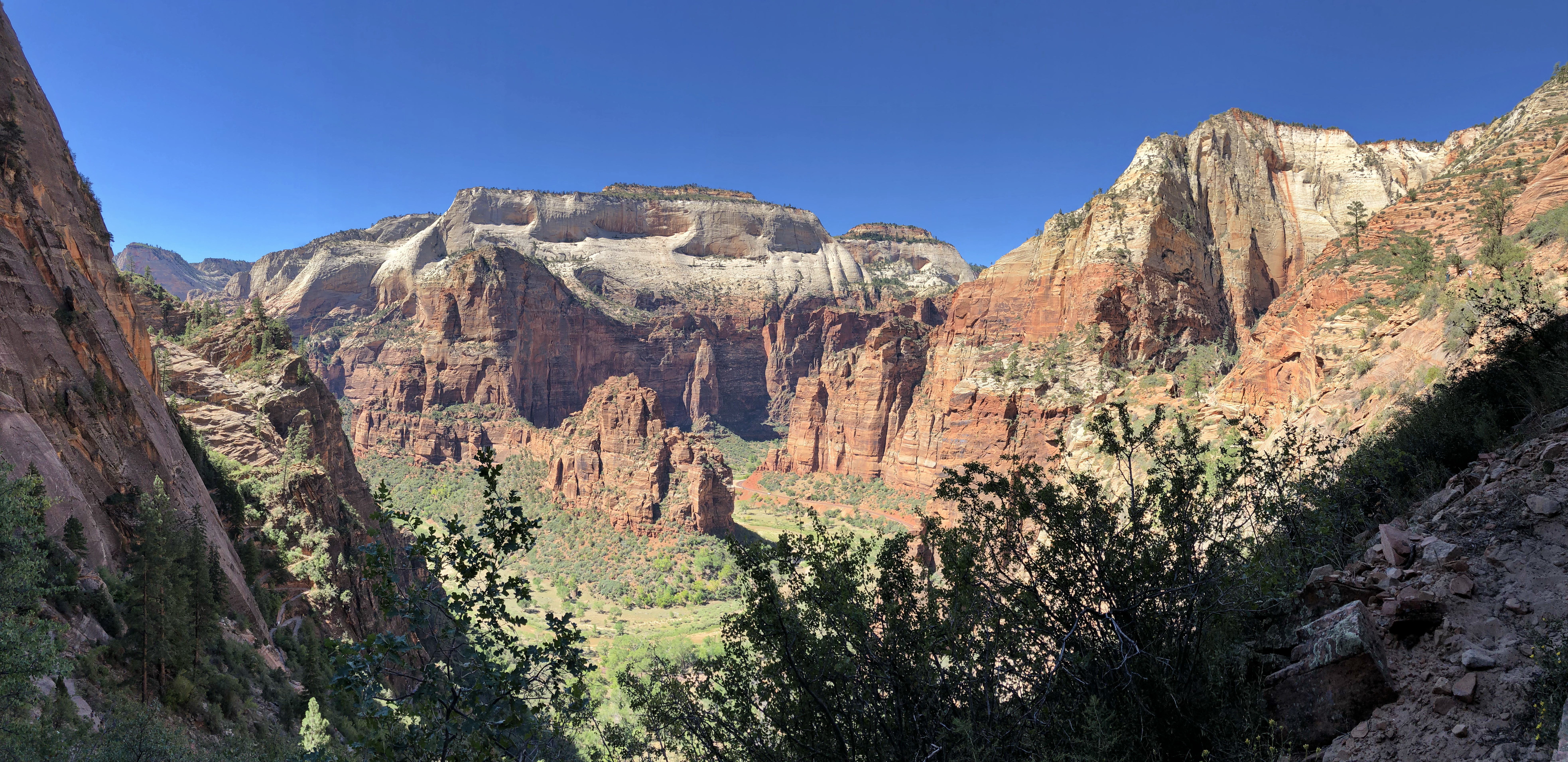 Ultimate Guide: Essential Tips for Visiting Zion National Park