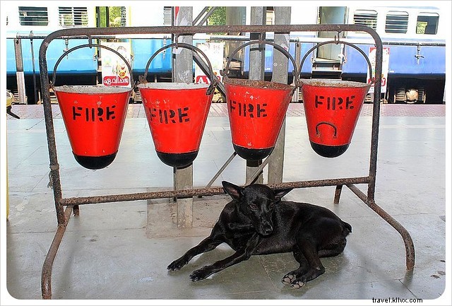 Train Travel in India: A Thrilling Journey from Sleeper Class Comfort to Second Class Chaos