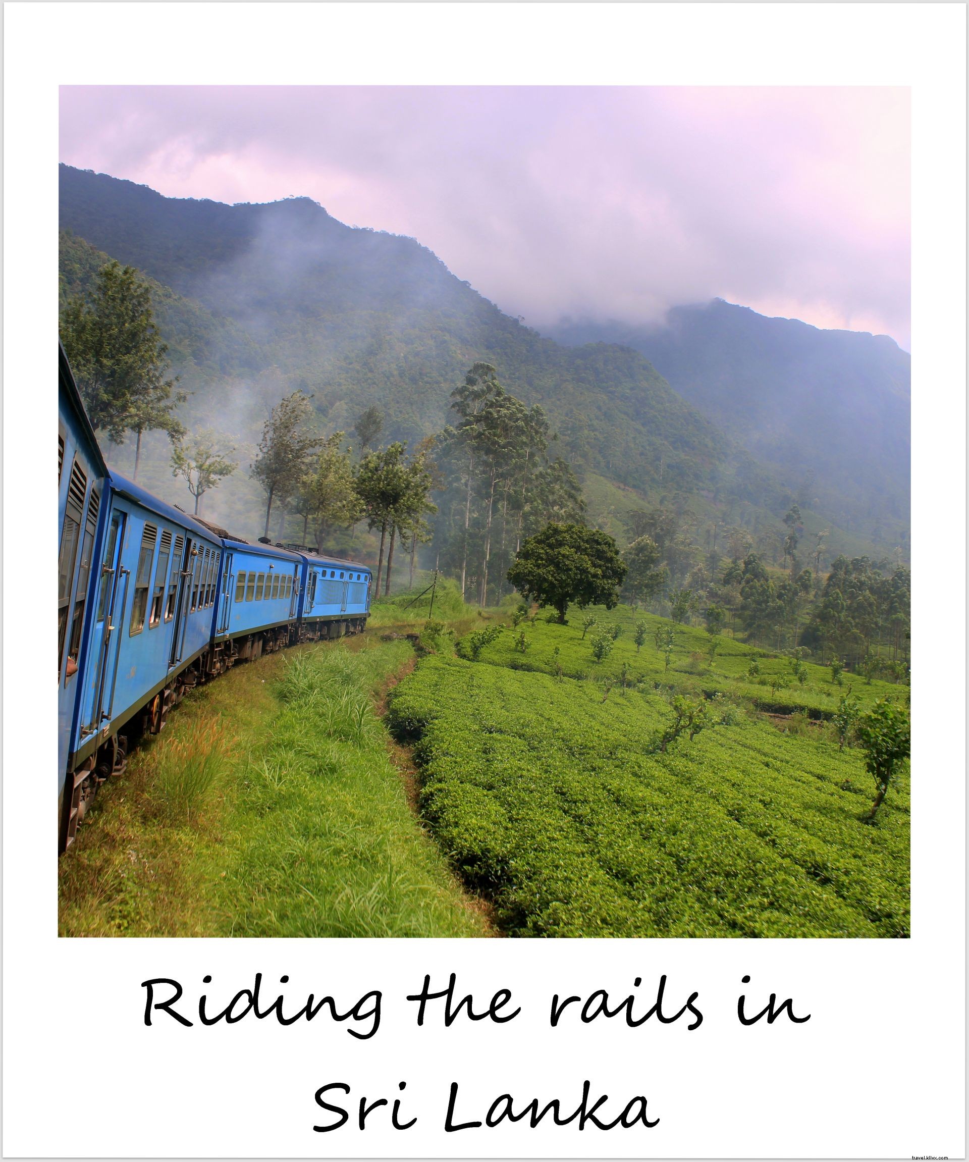 Polaroid of the Week: Scenic Train Ride Through Sri Lanka s Tea Country from Kandy to Ella