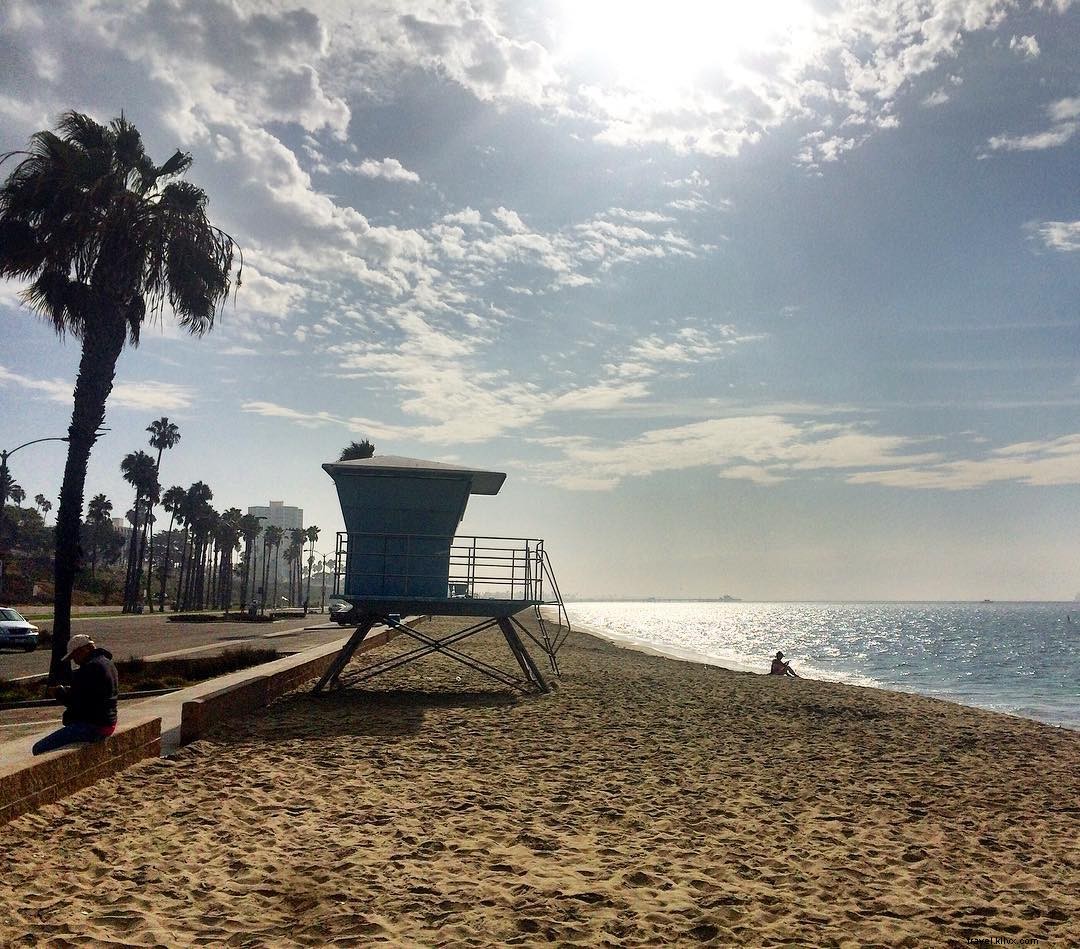 Discover San Diego s Best Beaches: Top Spots for Surfing, Hiking, and Relaxation