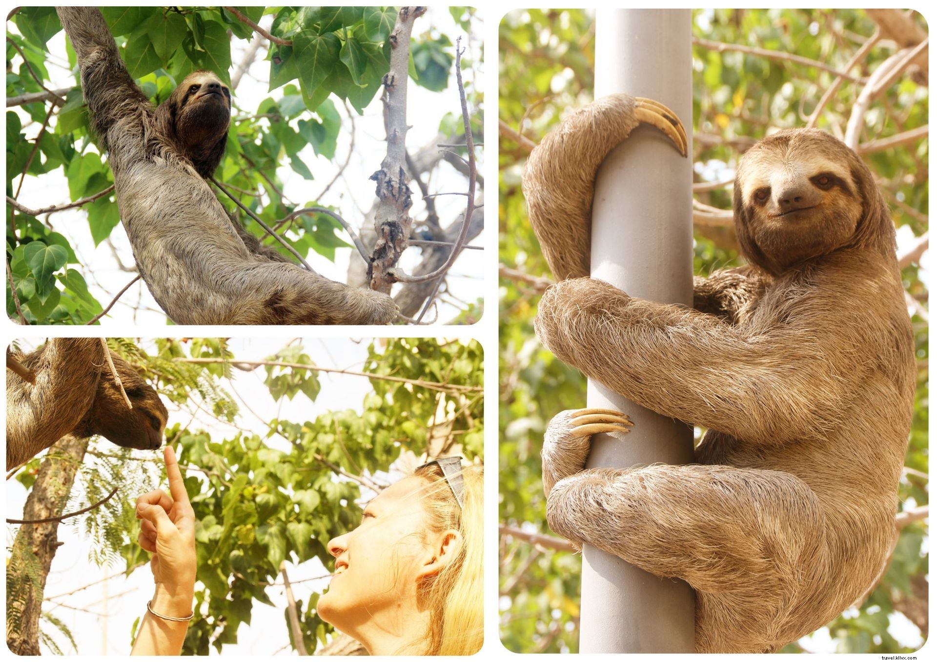 Cartagena: The Ultimate Introduction to Colombia s Colonial Charm and Vibrant Culture