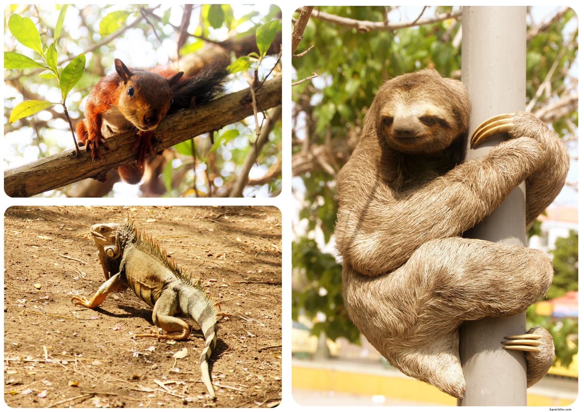 Cartagena: The Ultimate Introduction to Colombia s Colonial Charm and Vibrant Culture
