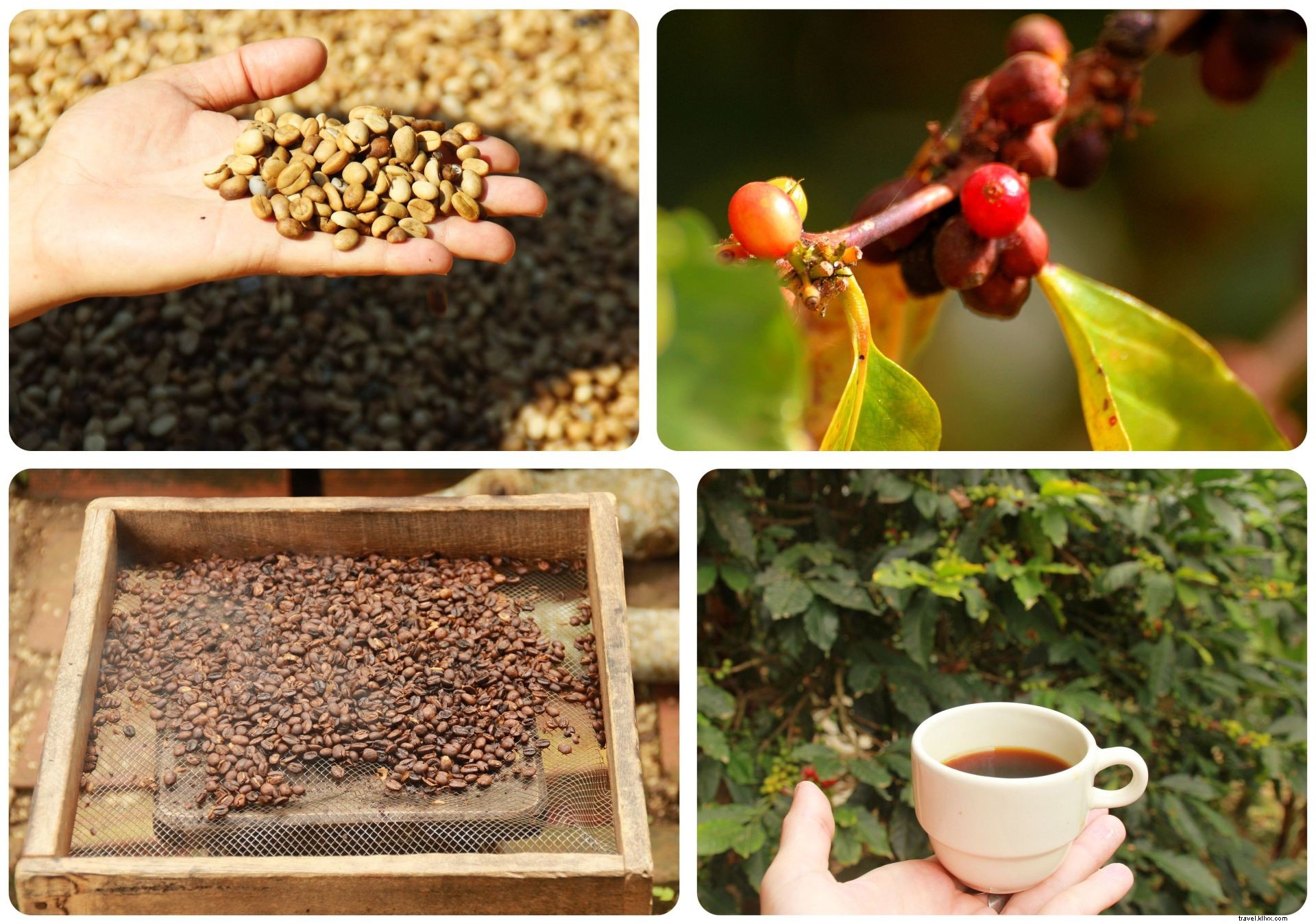 13 Unforgettable Colombia Travel Highlights from My 9-Week Adventure