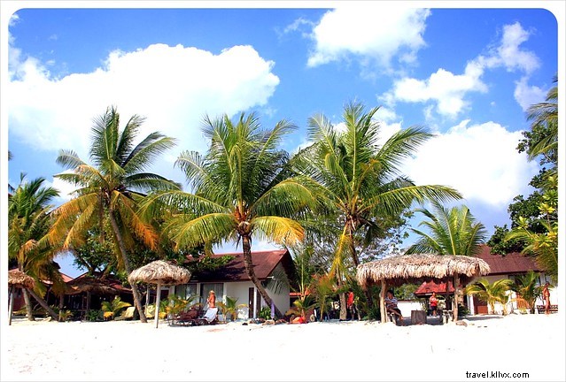 Langkawi, Malaysia: Monkey Encounters, Stunning Beaches, and Essential Travel Tips