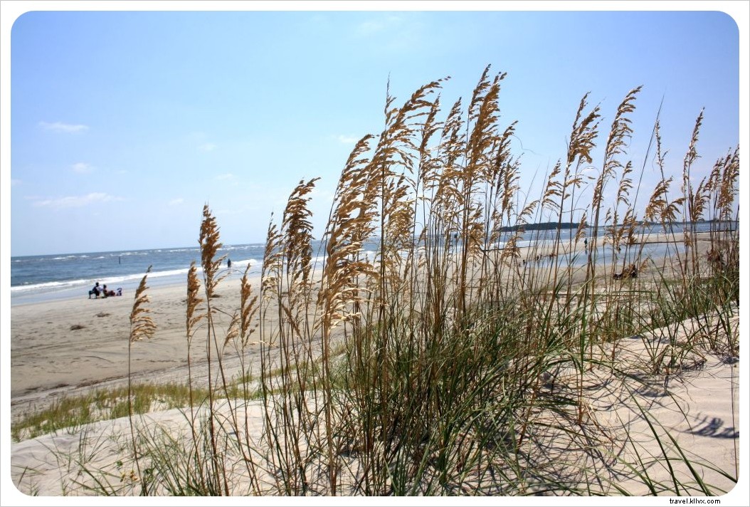 Driving in Denmark: Complete Guide to Roads, Rentals, Routes & Highlights