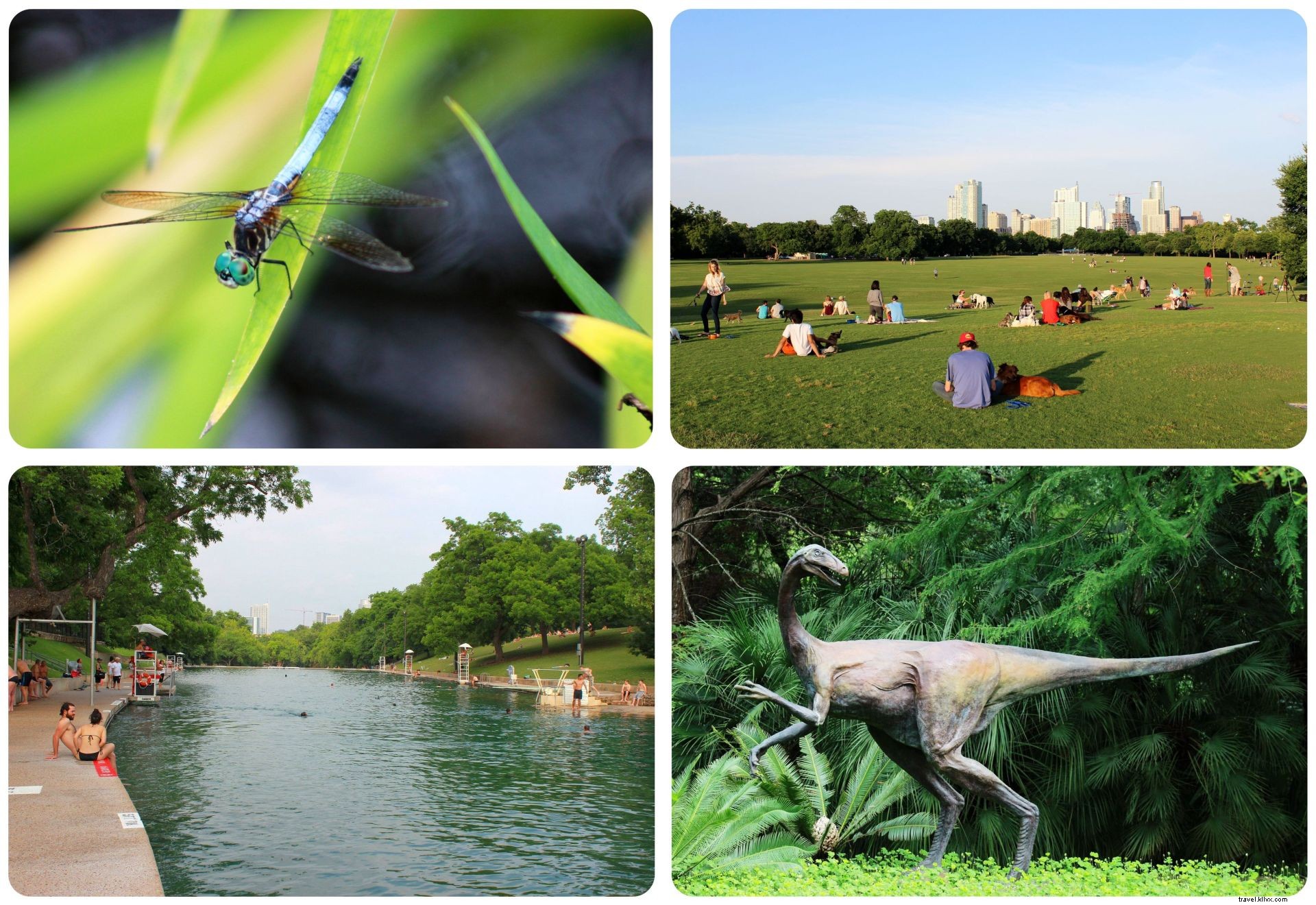 The Ultimate 48-Hour Itinerary in Austin, Texas: Eat, Explore, and Experience the Weird