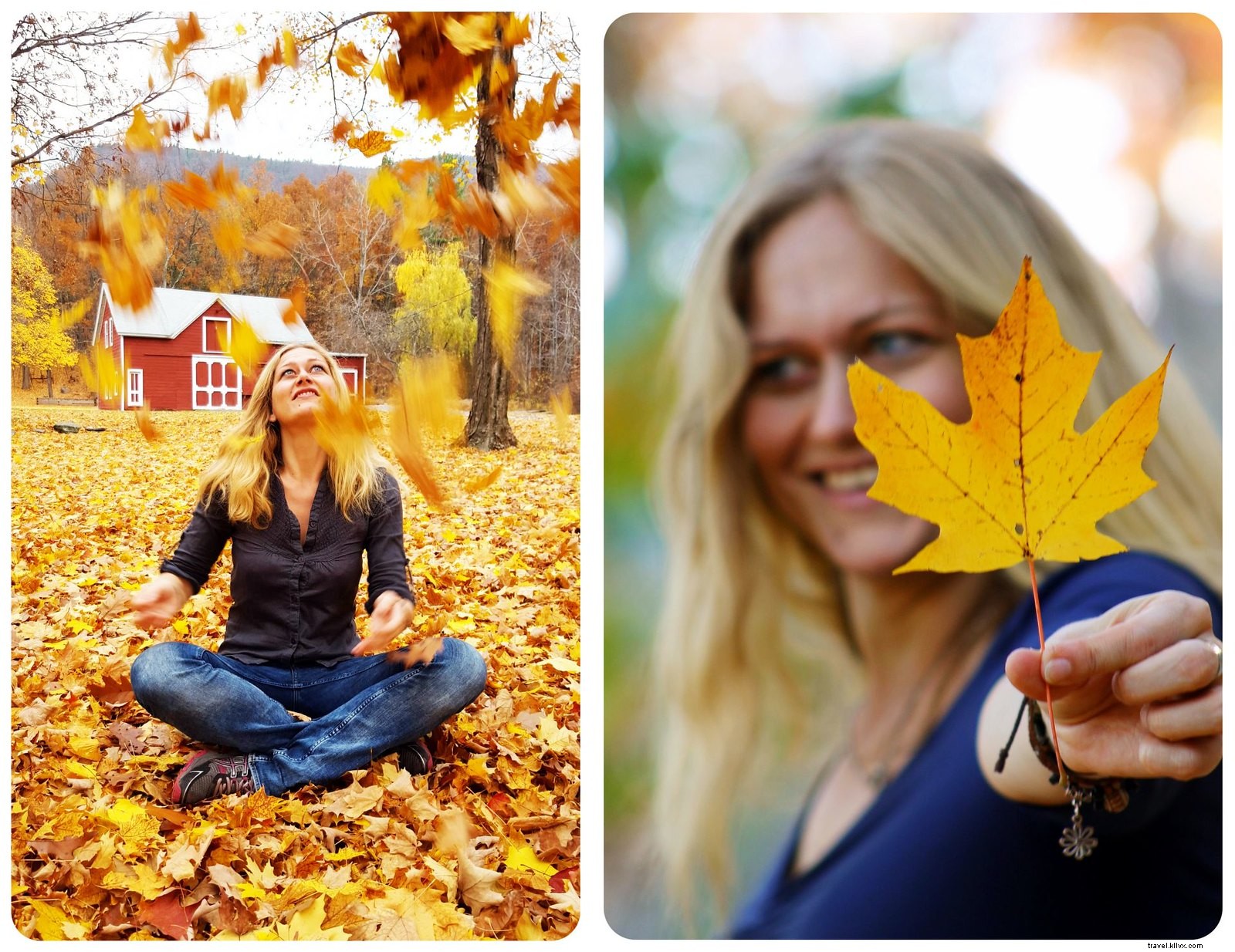 Ultimate New York Fall Foliage Road Trip: Scenic Drives, Hikes & Charming Towns