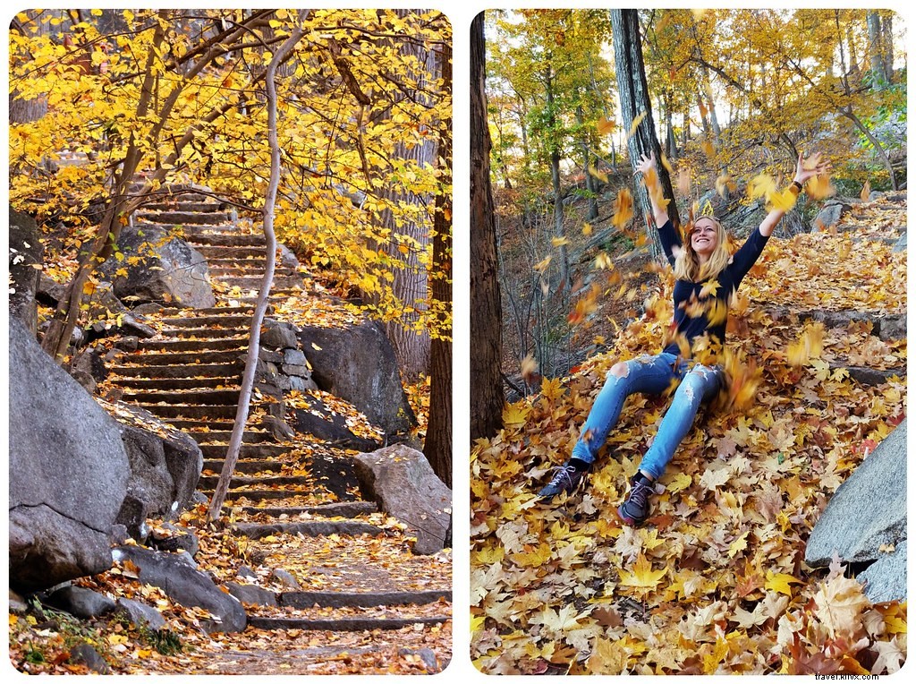 Ultimate New York Fall Foliage Road Trip: Scenic Drives, Hikes & Charming Towns