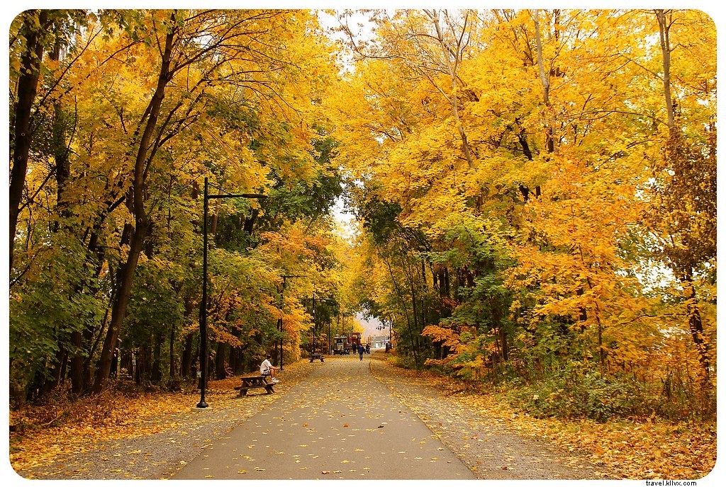 Ultimate New York Fall Foliage Road Trip: Scenic Drives, Hikes & Charming Towns