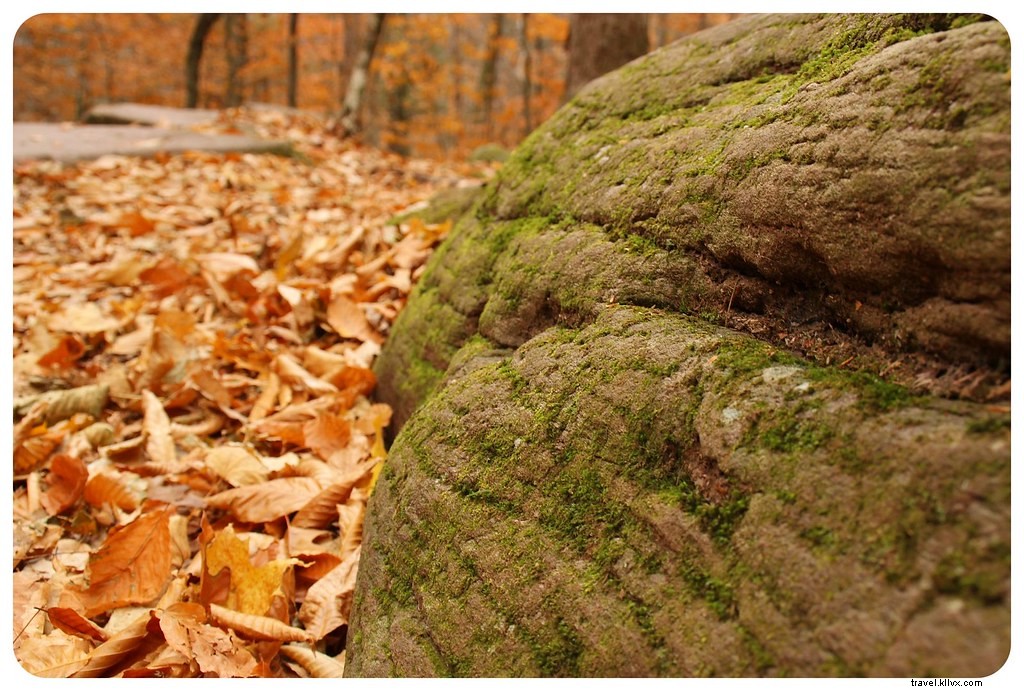 Ultimate New York Fall Foliage Road Trip: Scenic Drives, Hikes & Charming Towns