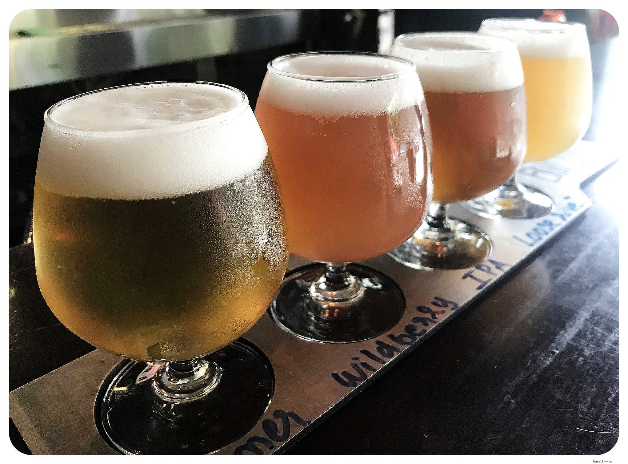 6 Unforgettable Ways to Elevate Your San Diego Trip