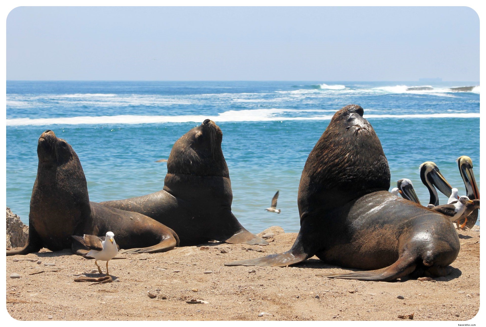 6 Unforgettable Ways to Elevate Your San Diego Trip