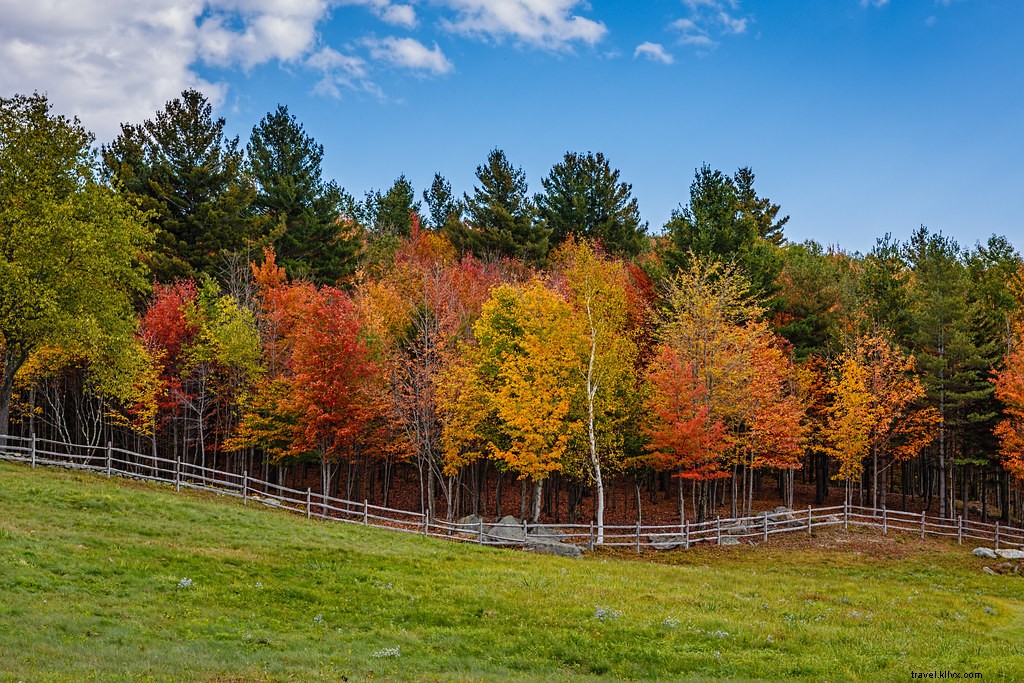 Top 5 Best Places for Stunning Fall Foliage in New England: Scenic Drives and Stays