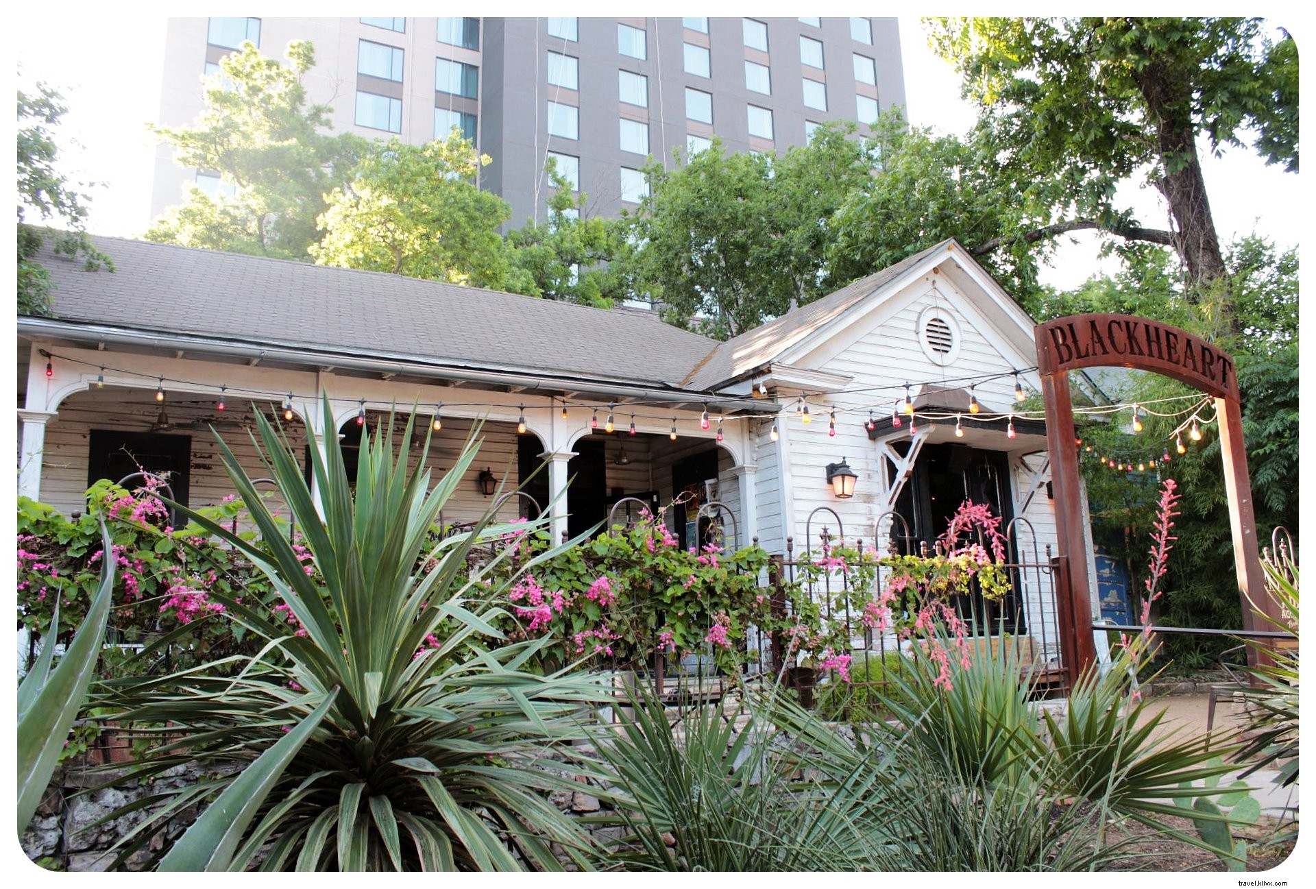 33 Reasons Austin, Texas Stole My Heart: Insights from a Month-Long Stay