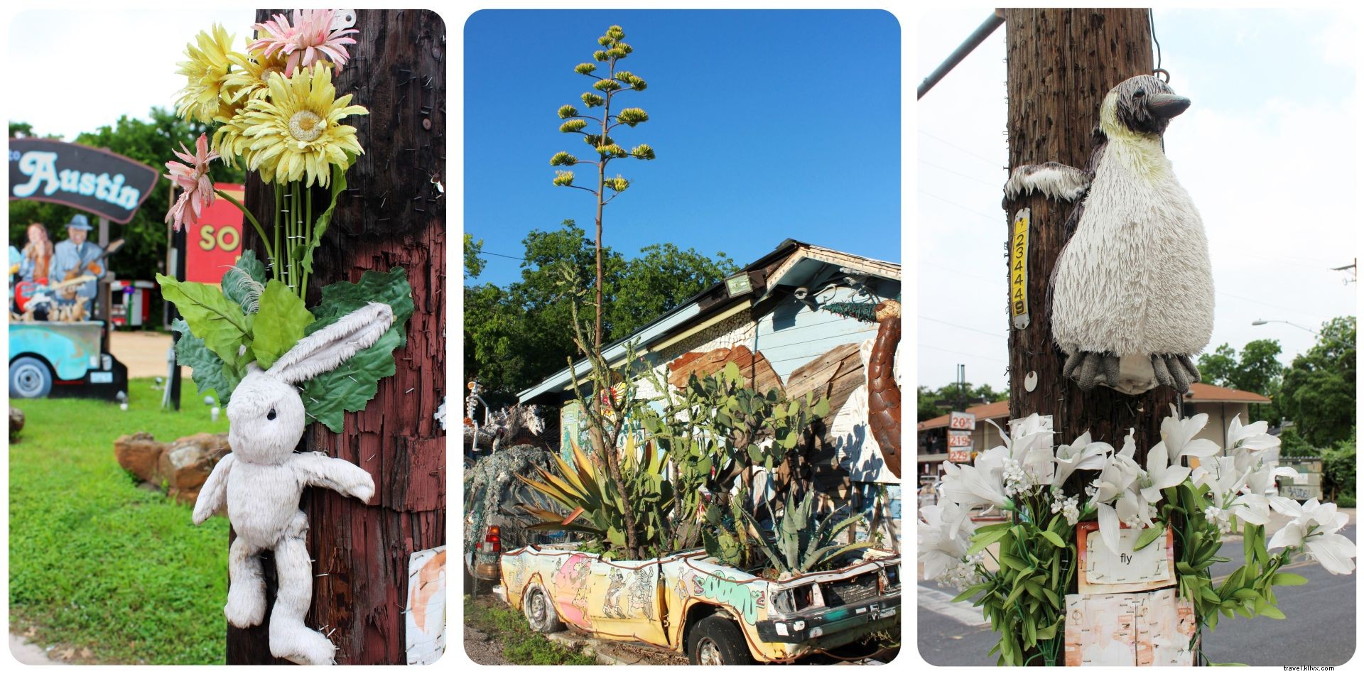 33 Reasons Austin, Texas Stole My Heart: Insights from a Month-Long Stay