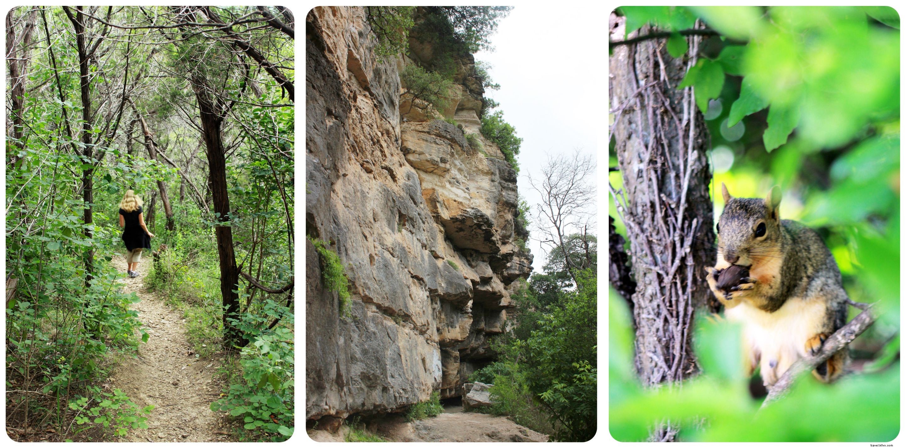 33 Reasons Austin, Texas Stole My Heart: Insights from a Month-Long Stay