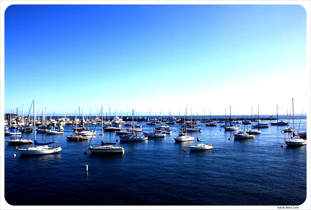 Monterey Bay Whale Watching: A Rough Seas Experience and Lessons Learned