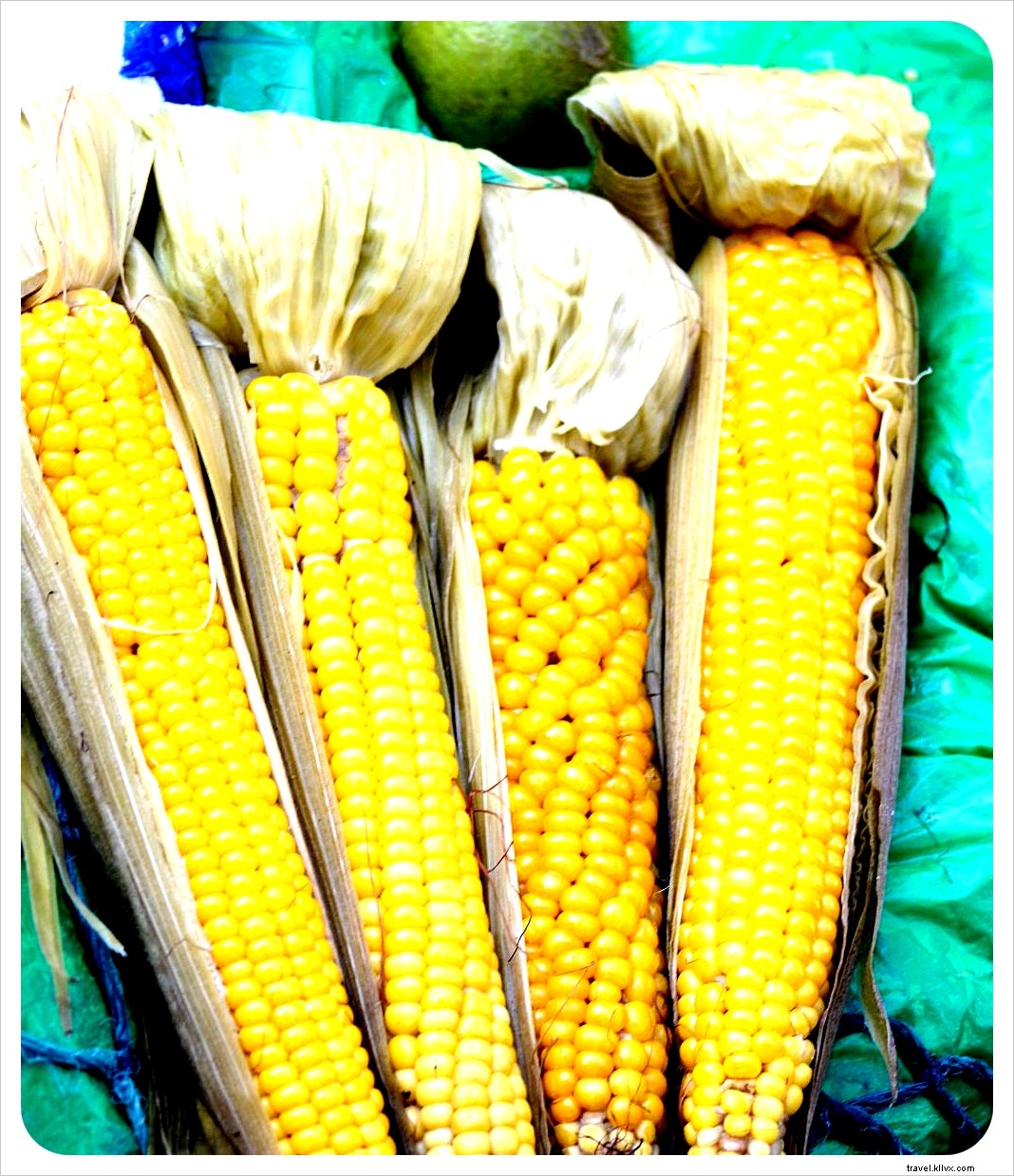 Best Street Foods in Guatemala: Top Vegetarian Picks and Must-Try Classics