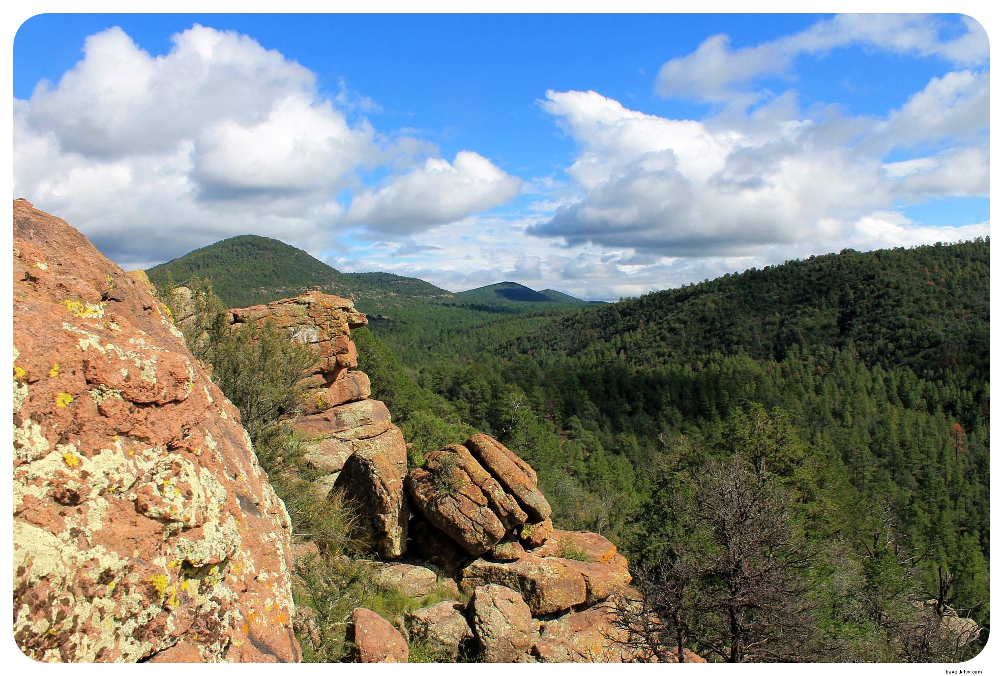 Essential Tips for a Safe and Memorable Road Trip from Dallas