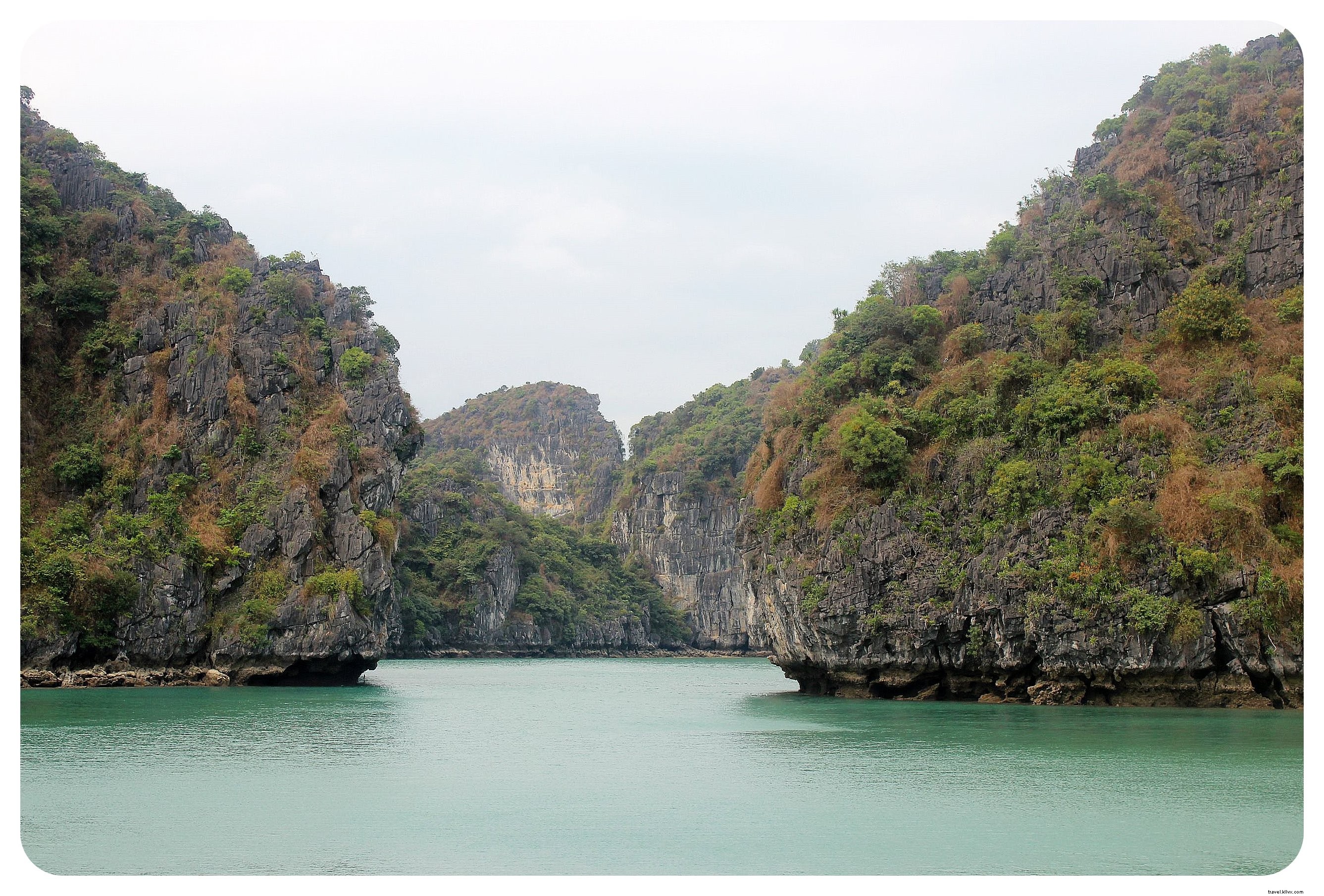 Halong Bay Cruise Guide: Why a 2-Night Vietnam Adventure is Unmissable