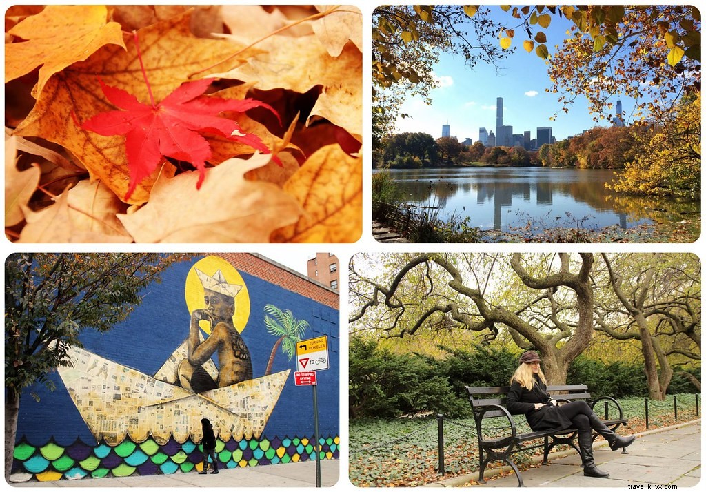 November 2015 Travel Recap: Life in New York, Fall Foliage Adventures, and What s Next