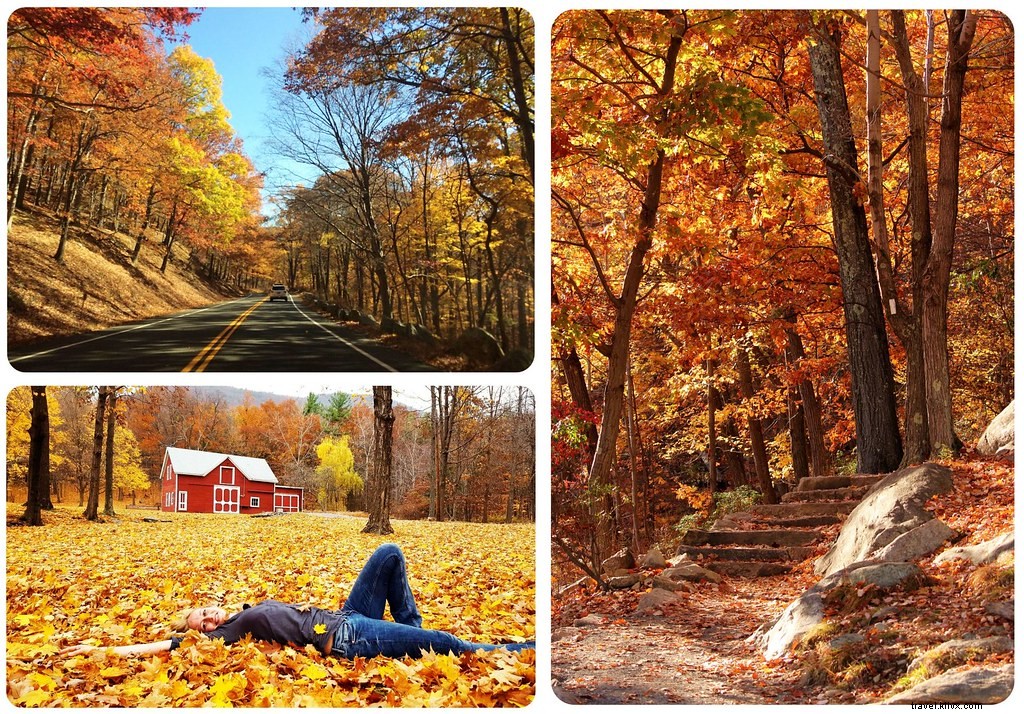 November 2015 Travel Recap: Life in New York, Fall Foliage Adventures, and What s Next