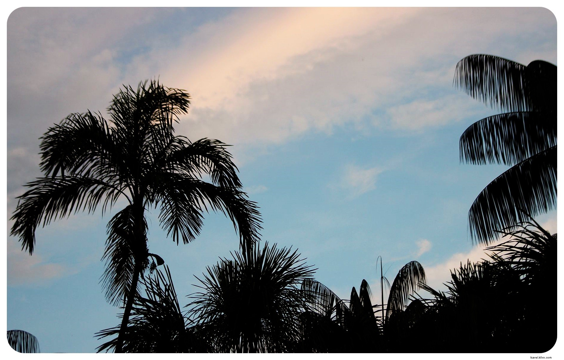 My Ayahuasca Ceremony in the Colombian Amazon: Confronting Inner Demons