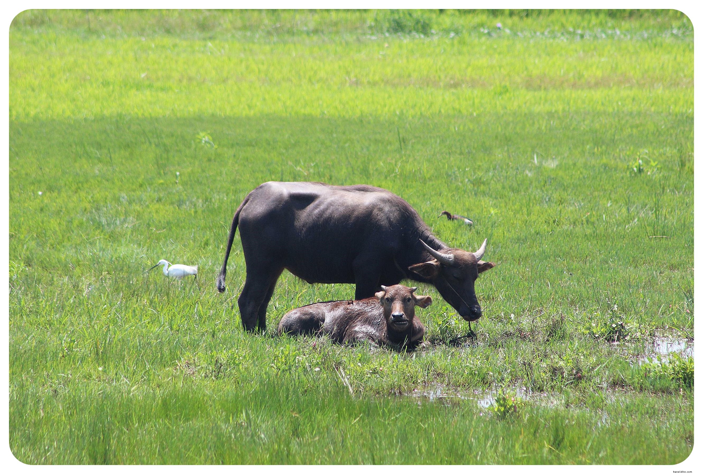 Top 6 Must-Visit Destinations in Vietnam and Cambodia