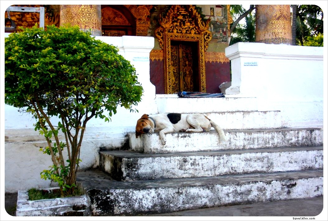 Discover Luang Prabang: Charming Colonial Gem of Laos – Top Things to Do