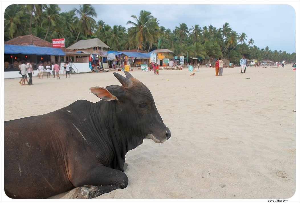 Days 701-800: Travel Tops & Flops – Unforgettable Highs and Lows