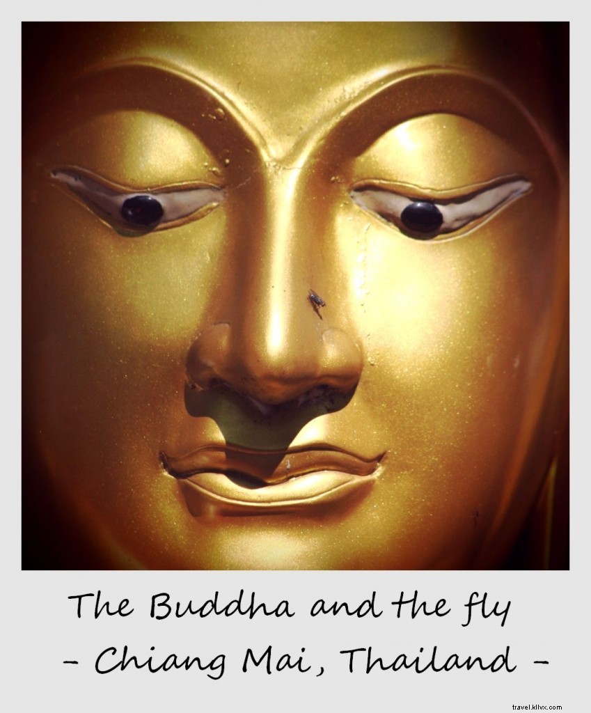 Polaroid of the Week: A Fly Lands on Buddha s Nose in Chiang Mai, Thailand