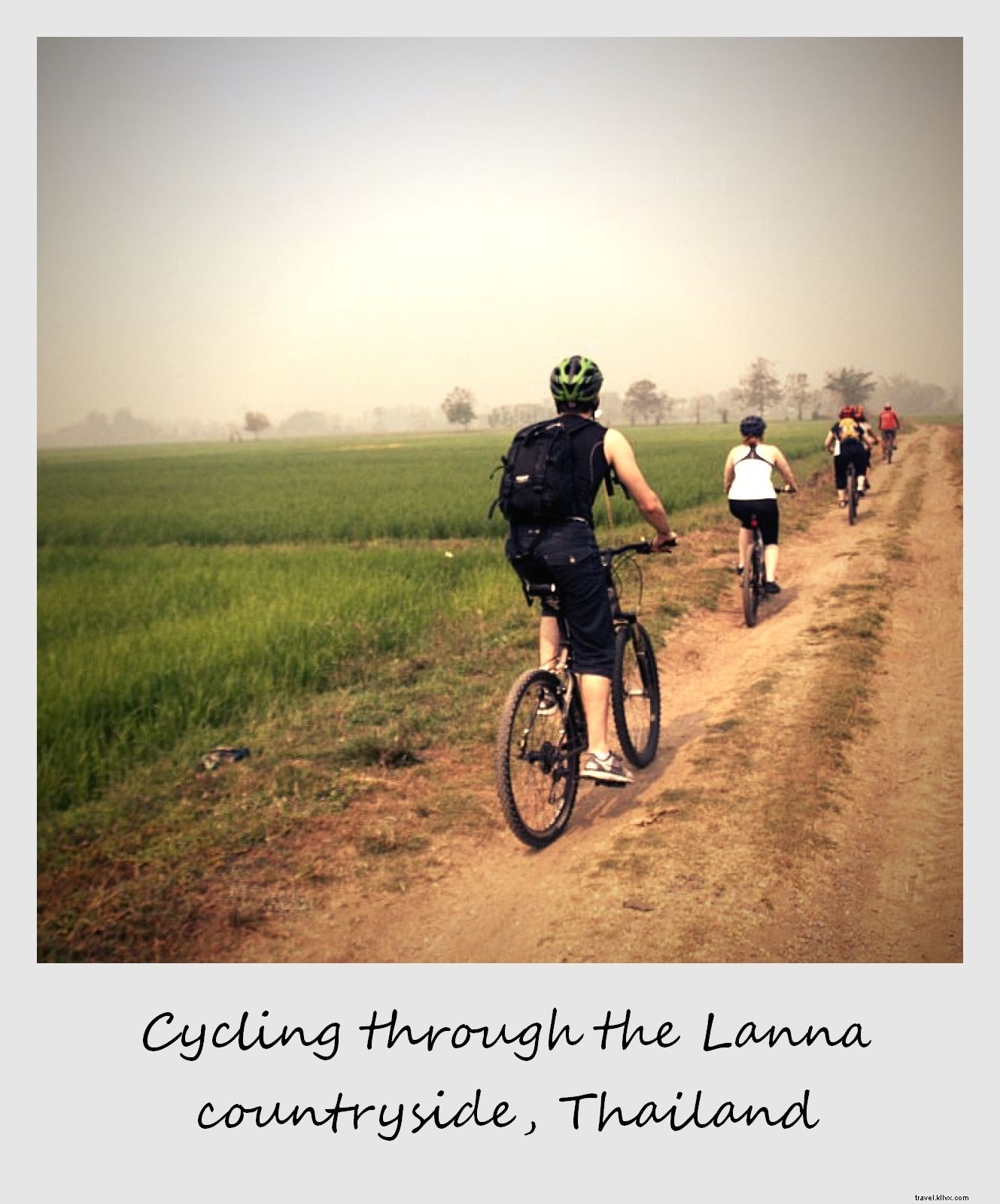 Photo of the Week: Biking Through Vibrant Rice Fields in Northern Thailand