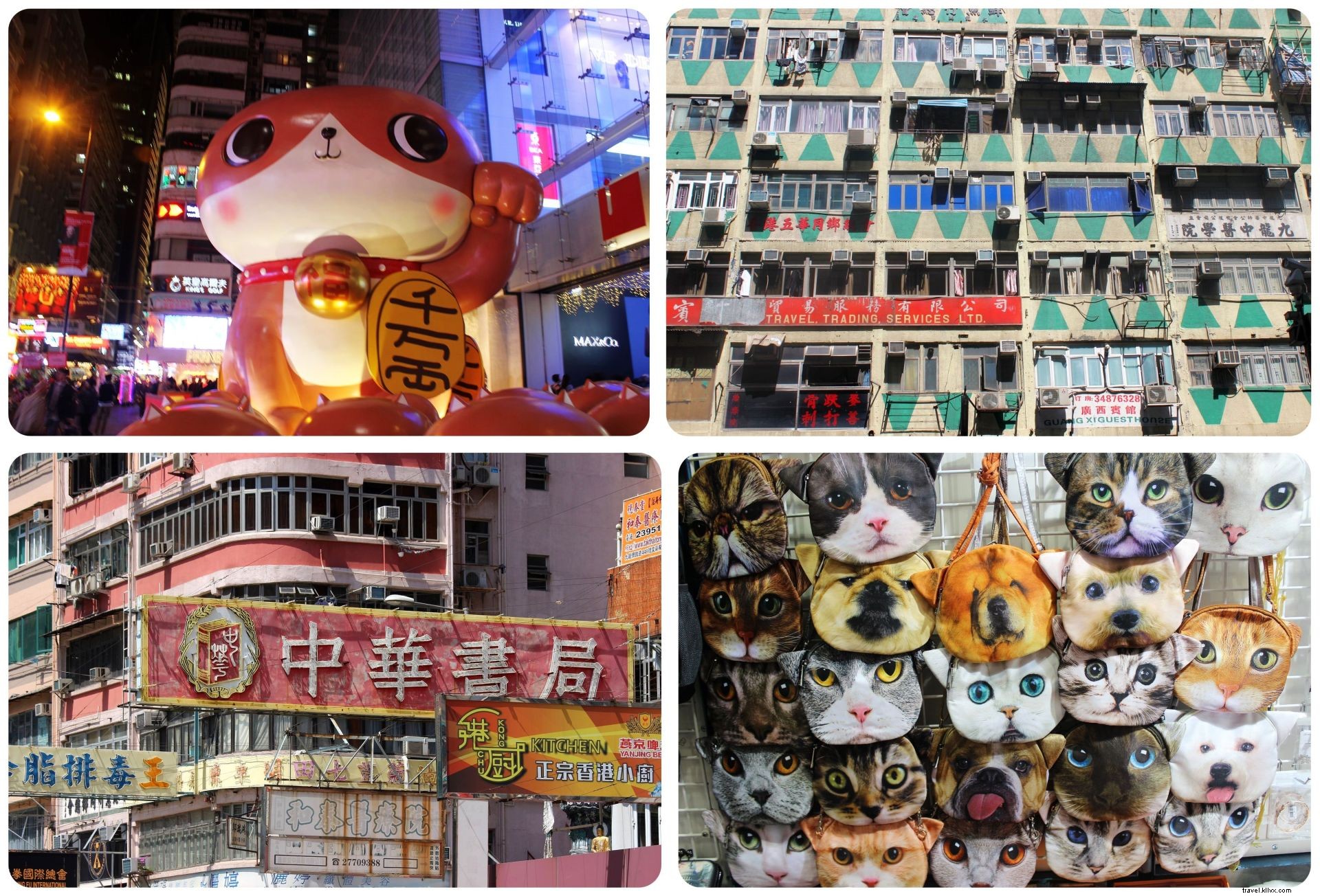 Essential Hong Kong Travel Tips: Lessons from My Second Visit