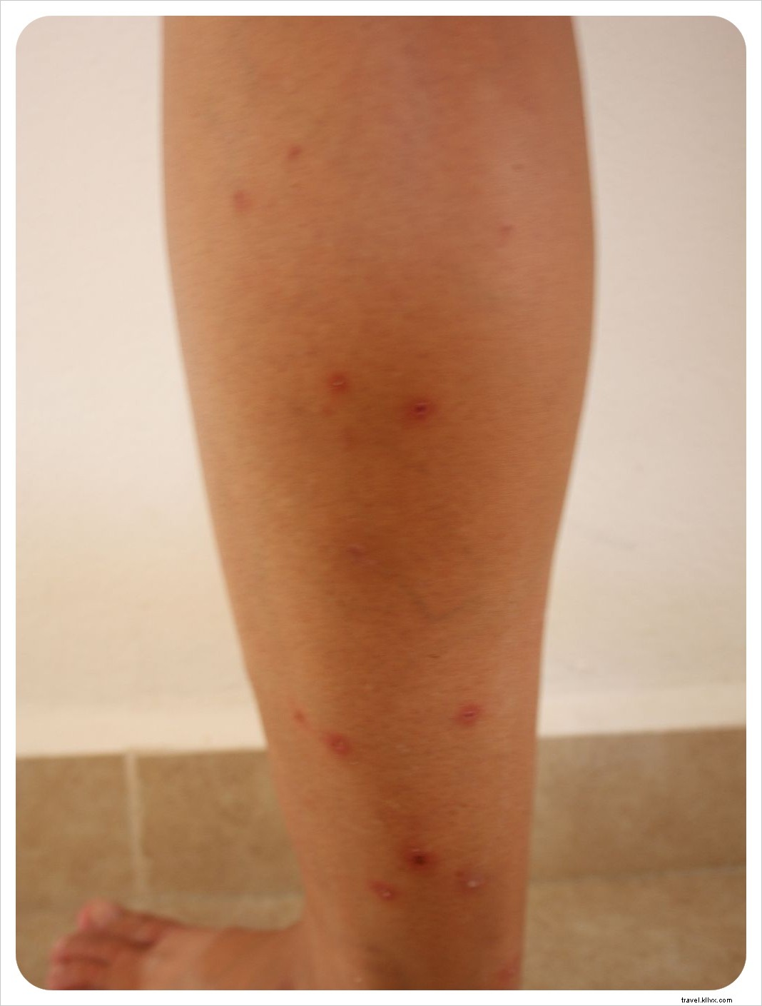 Top Highlights and Lowlights: 300 Days of Backpacking Central America