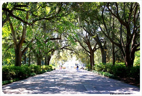 Discover the Enchanting Charm of Savannah, Georgia: Stunning Road Trip Photos