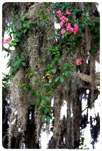 Discover the Enchanting Charm of Savannah, Georgia: Stunning Road Trip Photos