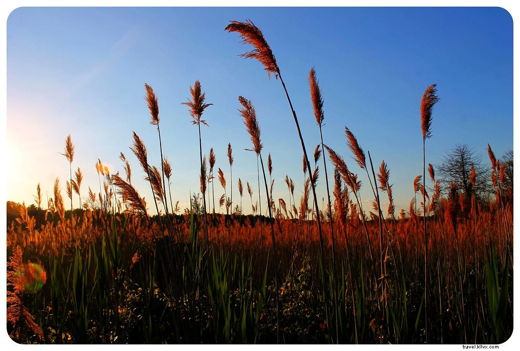 Sandy Hook, NJ: Pristine Beaches and Historic Escape from NYC