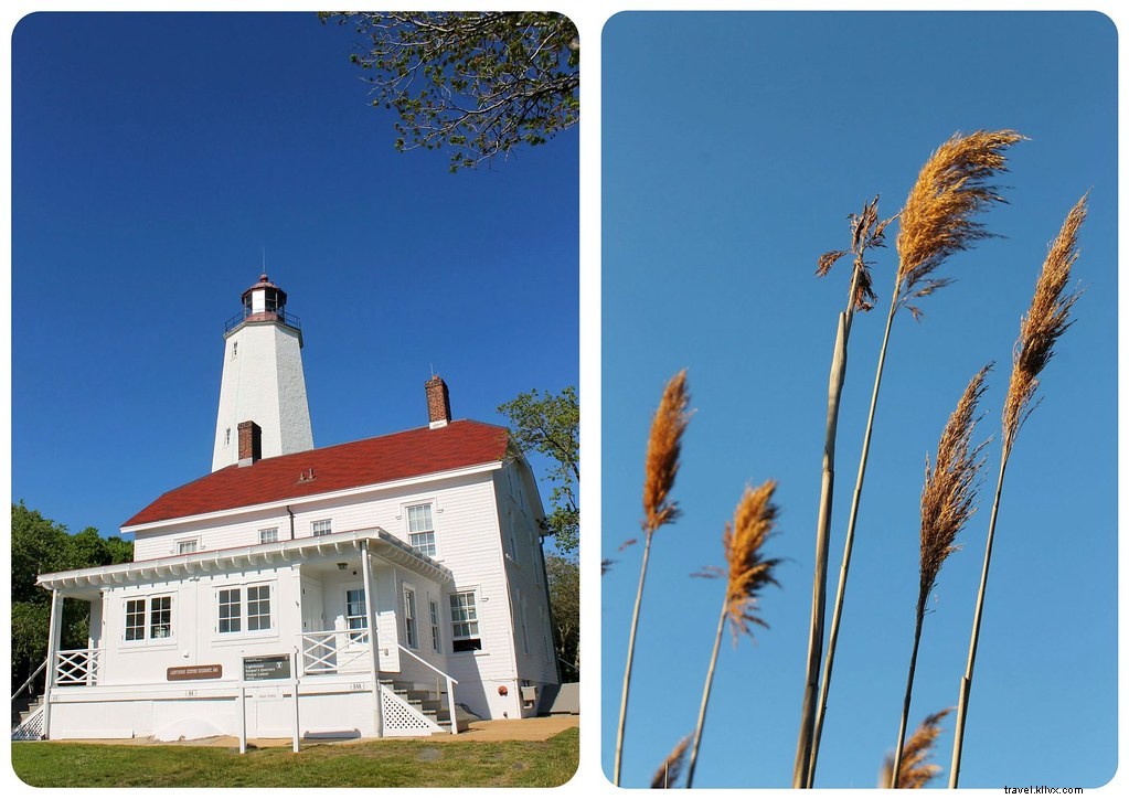 Sandy Hook, NJ: Pristine Beaches and Historic Escape from NYC