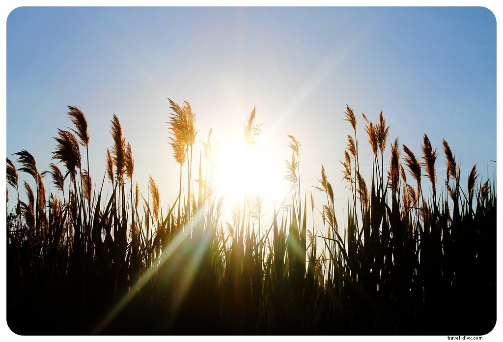 Sandy Hook, NJ: Pristine Beaches and Historic Escape from NYC