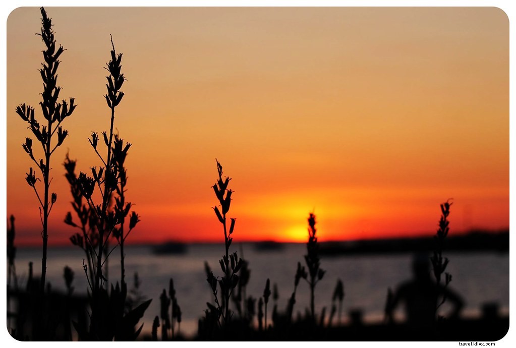 Sandy Hook, NJ: Pristine Beaches and Historic Escape from NYC